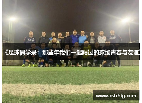 《足球同学录：那些年我们一起踢过的球场青春与友谊》
