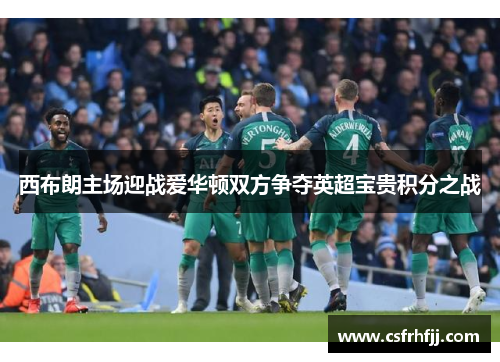 西布朗主场迎战爱华顿双方争夺英超宝贵积分之战