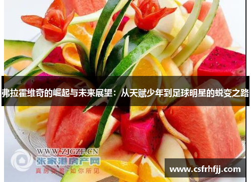 弗拉霍维奇的崛起与未来展望：从天赋少年到足球明星的蜕变之路